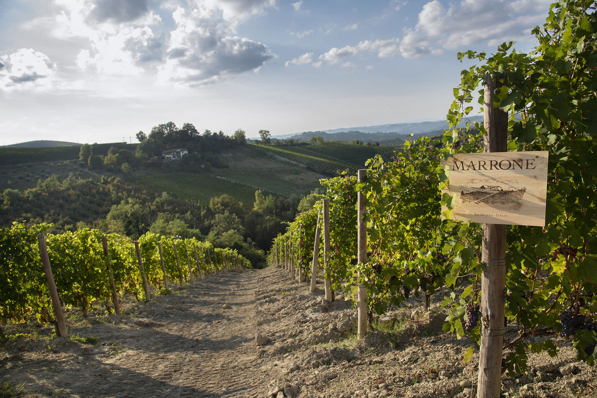 Cantina Marrone Barolo DOCG – Drink Express Trentino