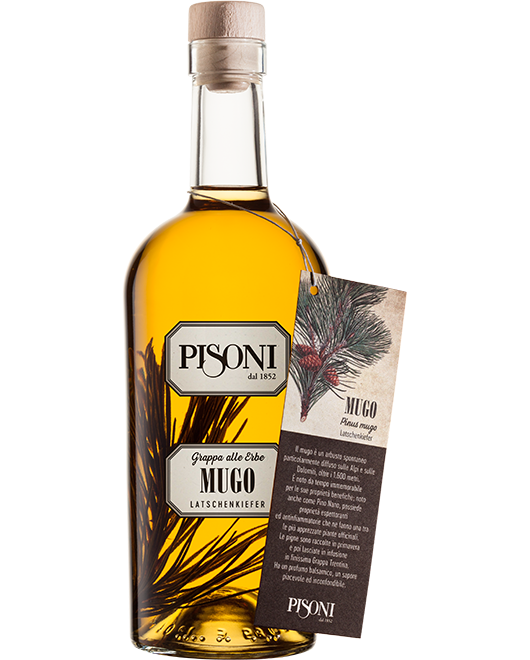 Pisoni Grappa al Mugo 70cl
